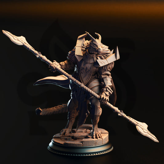 Apokris the Resolute – Silver Dragonkin Paladin