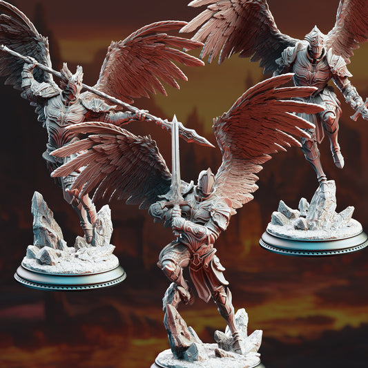 Angels of Syelden – Selvaneri Warriors