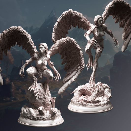 Hyl Hygrie – Hill Harpies