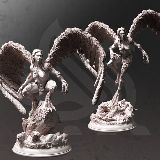 Hyl Hygrie – Hill Harpies