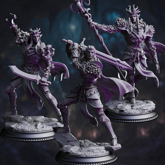 The Blessed – Servants of Vaezirak