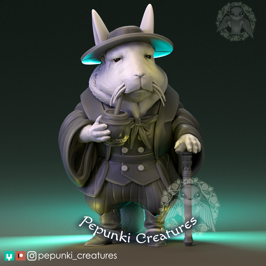Viscacha old man gaucho