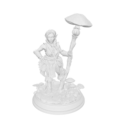 Cordelia the Homestead Hermit – Halfling Druid